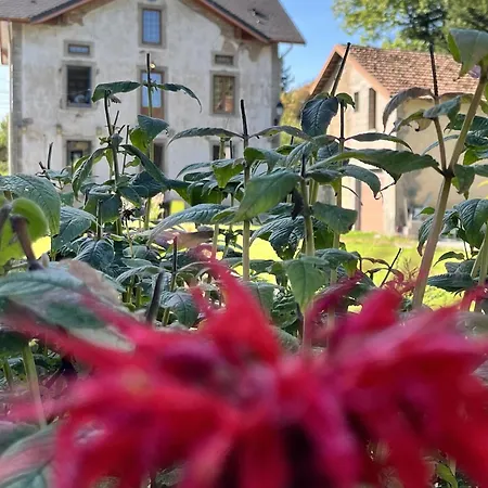Bed & Breakfast D'hote La Domaine Du Bagnerot La Chapelle-aux-Bois